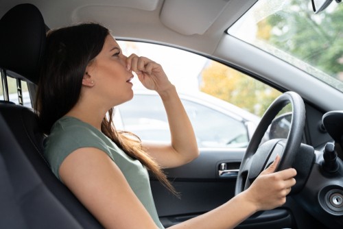 Tracy's Automotive | Wichita Auto Care | Wichita Auto Repair