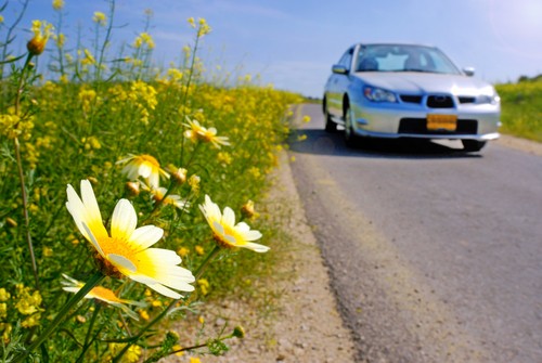 Tracy’s Automotive | Wichita Auto Care | Wichita Auto Repair