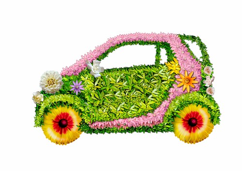 Tracy’s Automotive | Wichita Auto Care | Wichita Tune Up