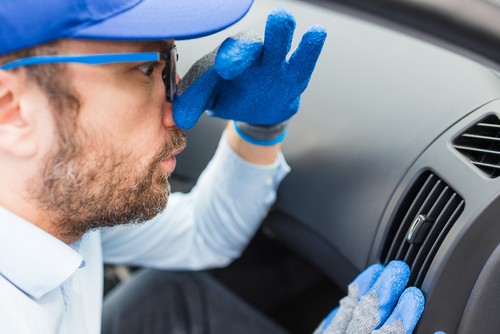 Tracy’s Automotive | Wichita Auto Care | Wichita Auto Repair