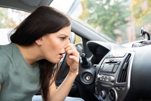 Tracy’s Automotive | Maple Street Car Care | Wichita Auto Care