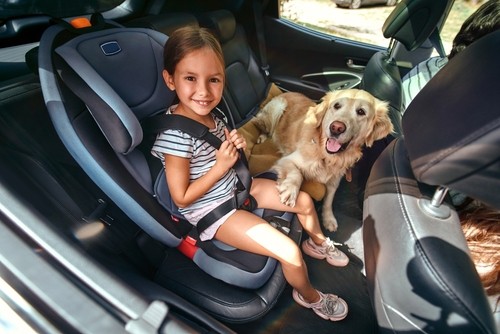 Tracy’s Automotive | Maple Street Car Care | Wichita Auto Care
